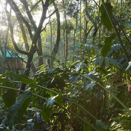 Dream Catcher Resort Munnar Exterior foto