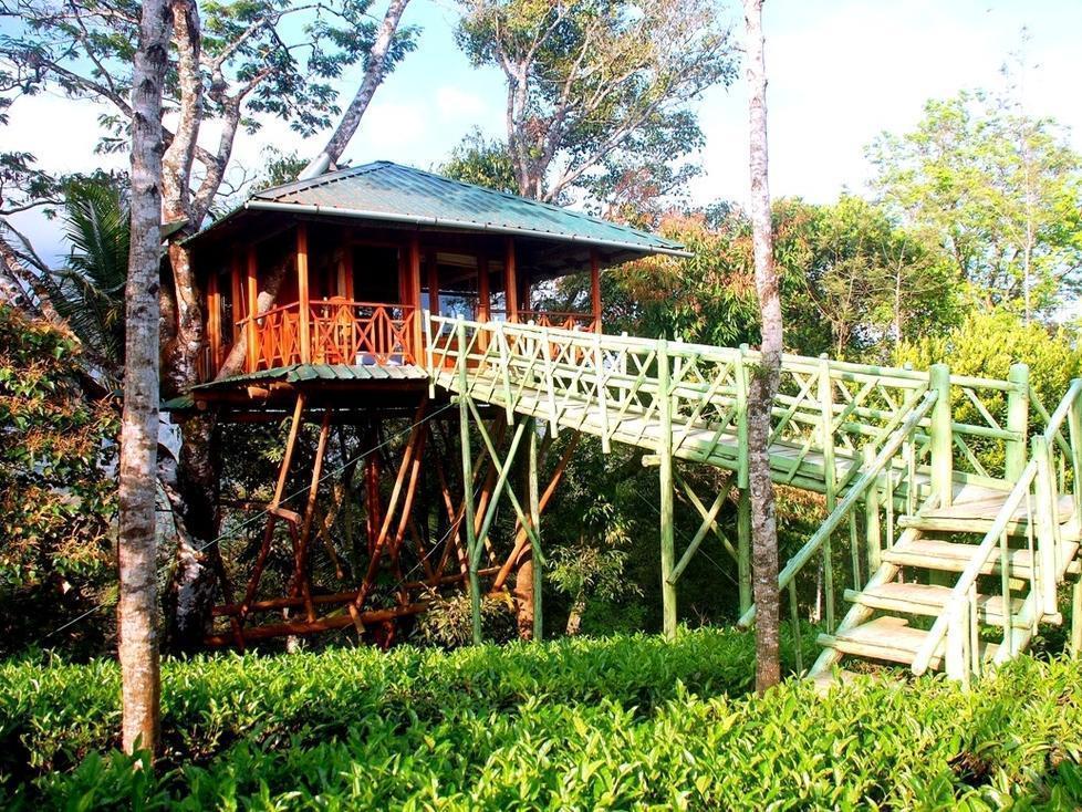 Dream Catcher Resort Munnar Exterior foto