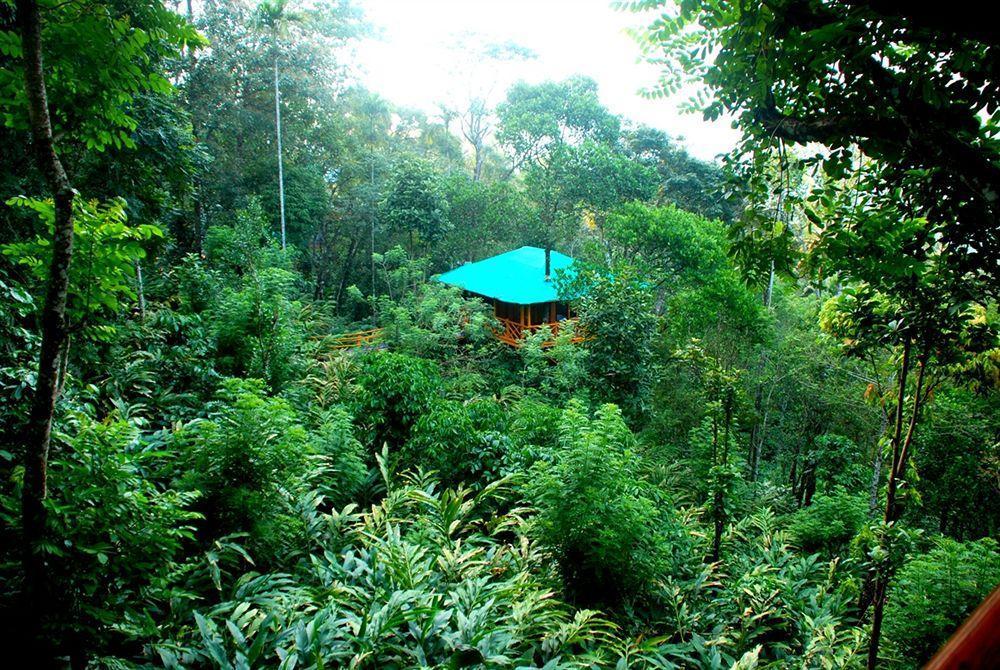 Dream Catcher Resort Munnar Exterior foto