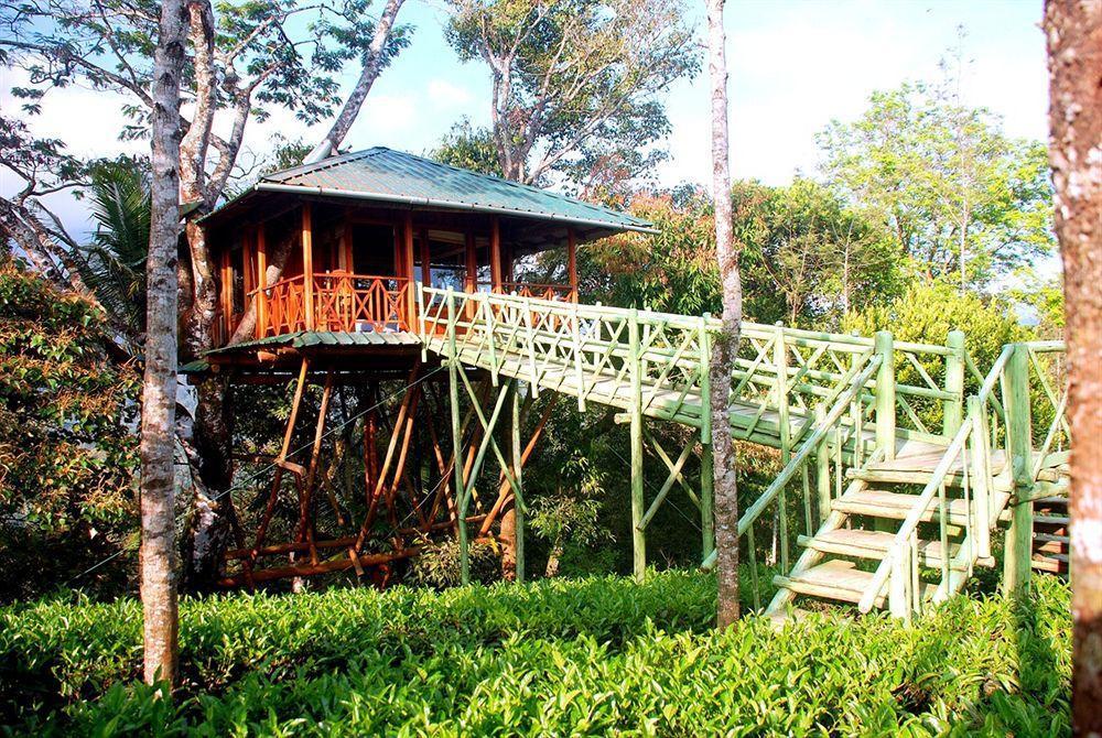 Dream Catcher Resort Munnar Exterior foto