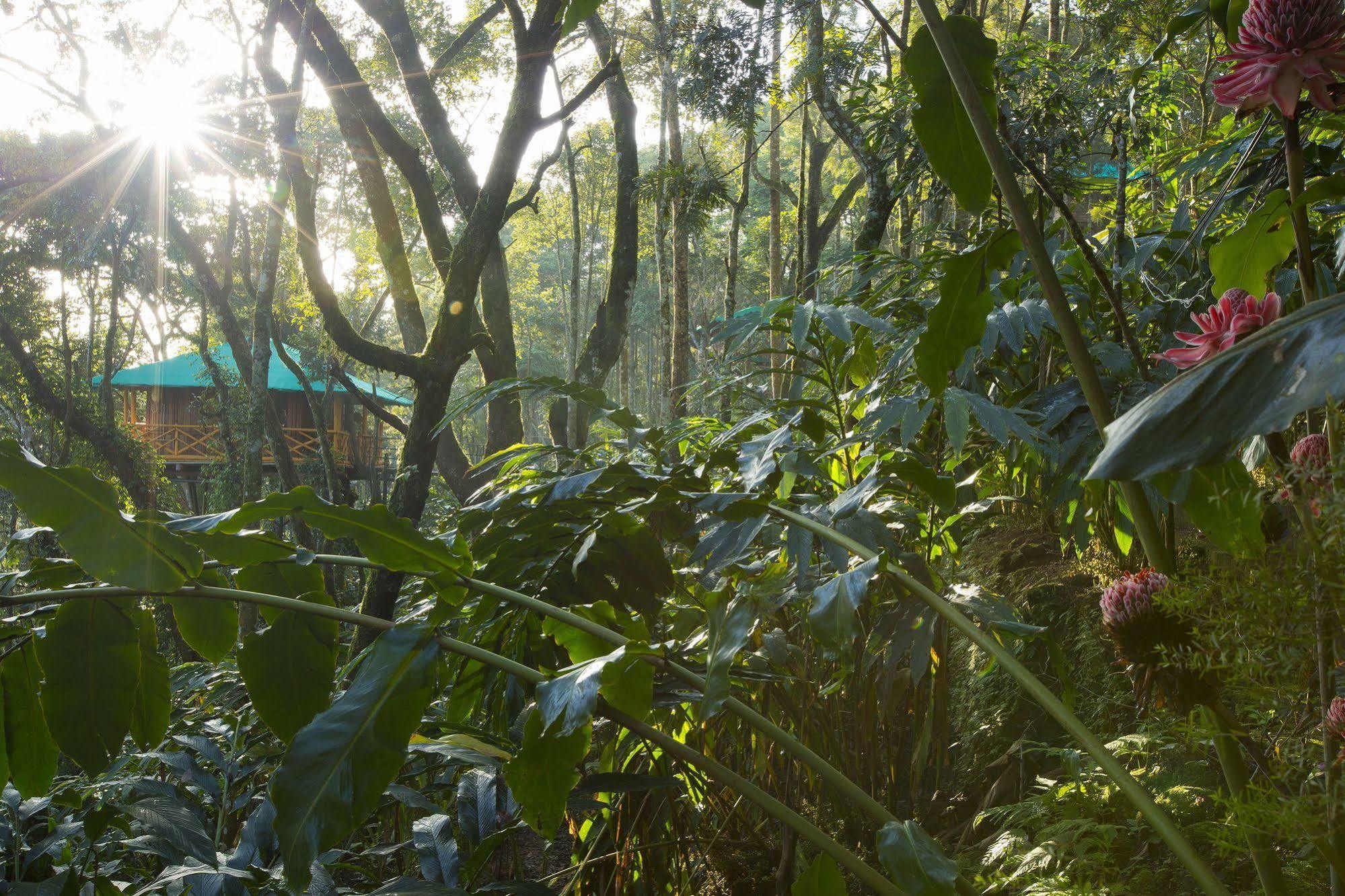 Dream Catcher Resort Munnar Exterior foto